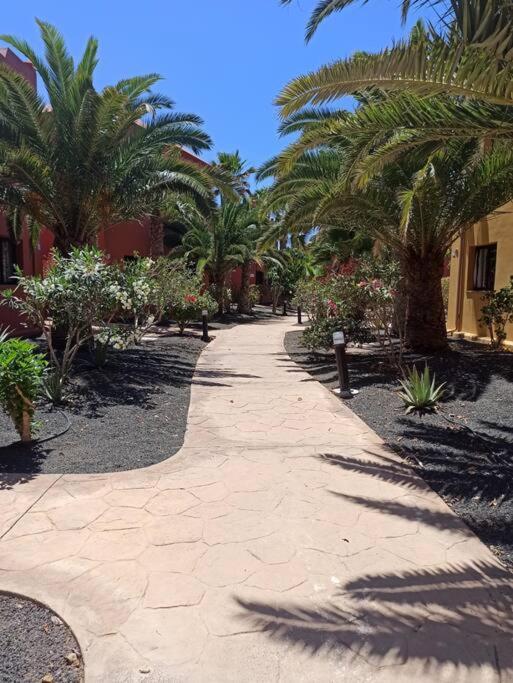 Apartment Cumbre Vieja Fuerteventura Corralejo Exteriér fotografie