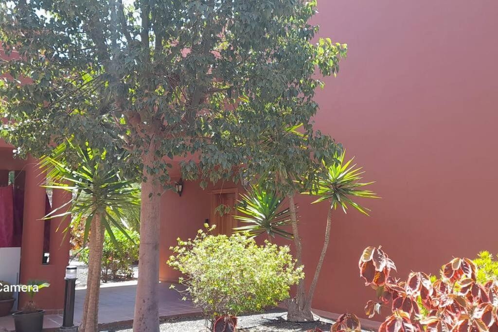 Apartment Cumbre Vieja Fuerteventura Corralejo Exteriér fotografie
