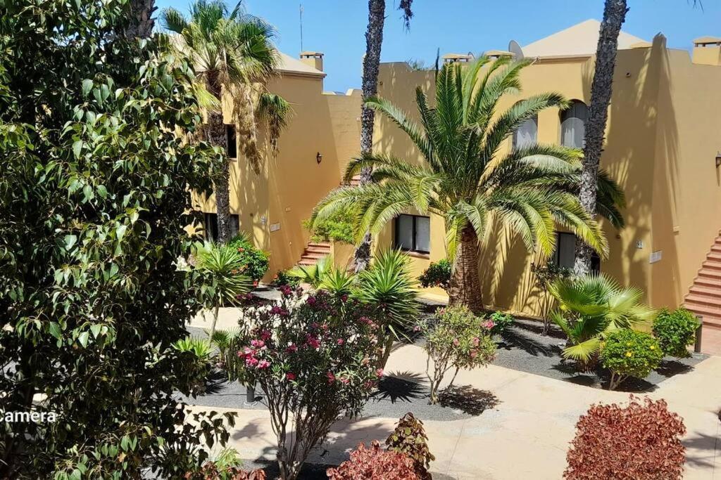 Apartment Cumbre Vieja Fuerteventura Corralejo Exteriér fotografie
